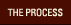 The Process